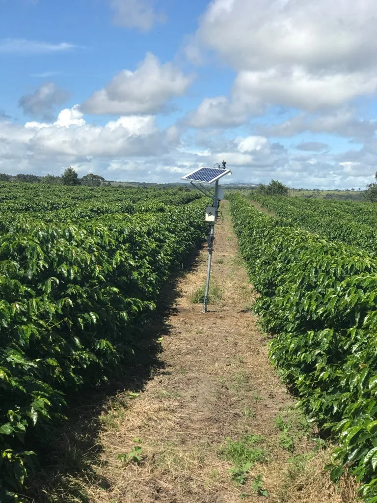 A solar-powered DrFarm sensor tower deployed between coffee rows in Bahia